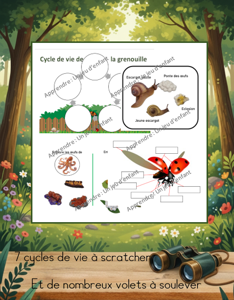 Cycle de vie et anatomie des animaux livret 1