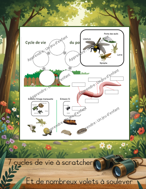 Cycles de vie et anatomie des animaux livret 2