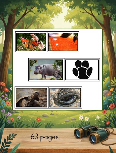 Zoom sur les animaux