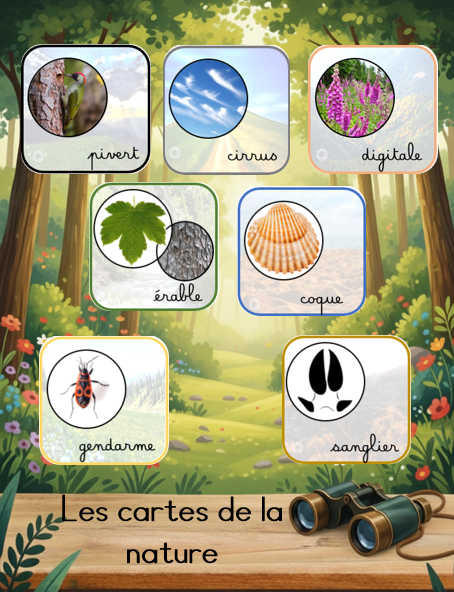 Les cartes de la nature